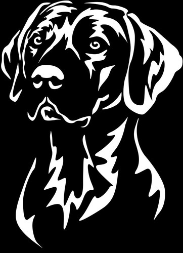 Rhodesian ridgeback aufkleber - rhodesian,