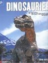Dinosaurier reich der - im,
