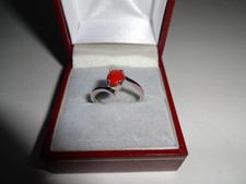 Mediterraner Korallen Solitär