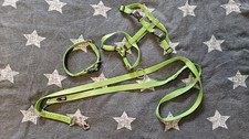 Set aus Hundehalsband/-geschirr und - Leine!