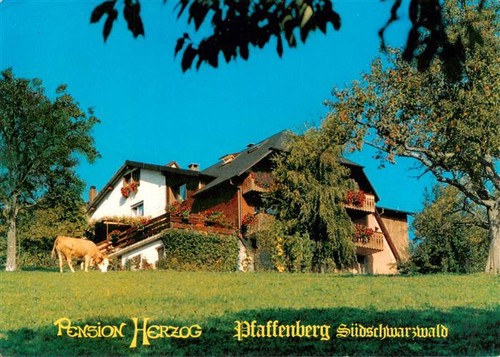 Pfaffenberg zell wiesental - pfaffenberg,