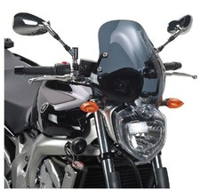 Windschildhalterung Yamaha FZ6