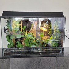 Terrarium für Reptilien, Glasterrarium 80x40x50