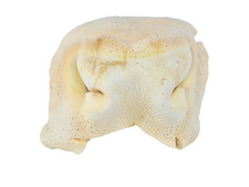 1kg Rindernasen, weiß