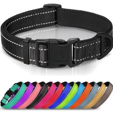 Hundehalsband Nylon Neopren