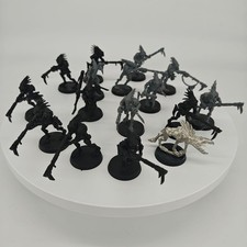 Kroot Söldner Warhammer 40K