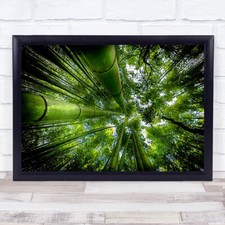 Arashiyama Japan Kyoto Bambushain grün Asien asiatische Perspektive Wandkunstdruck