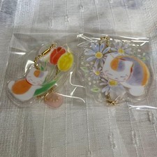 Natsume's Book of FrI.Nds