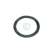 Original Flusensiebdichtung