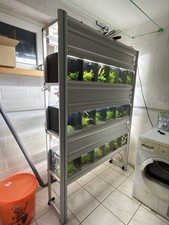 Garnelen Zuchtanlage Eheim