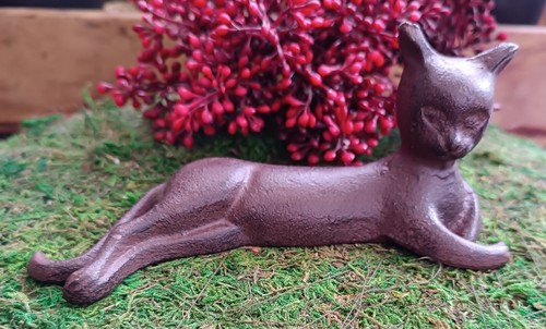 Elegante schlanke katze aus - schlanke,