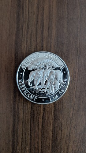 2013 african wildlife elephant - 2013,