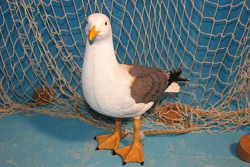Große möwe naturgetreu - große,