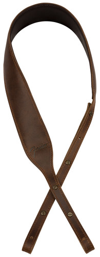 Fender paramount banjo - fender,