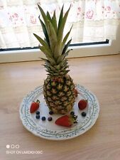 4 Speiseteller ca. 40 cm