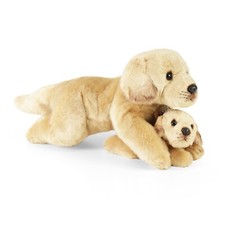 Labrador liegend mit Baby 25