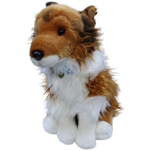 Langhaarcollie hund - langhaarcollie,