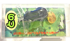 Bassday Tono Frog Wobbler, Topwater, Oberflächenköder, 4 cm, Floating, Neu