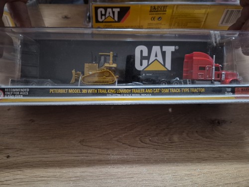 Cat peterbilt 389 - cat,