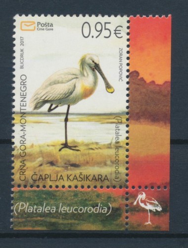 Montenegro naturschutz - montenegro,