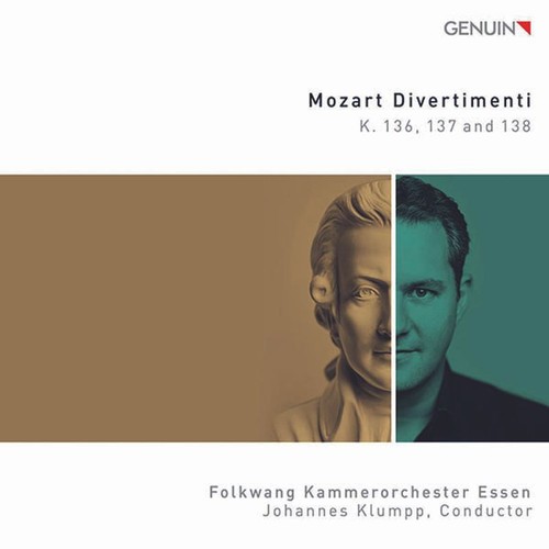 Wolfgang amadeus mozart - wolfgang,
