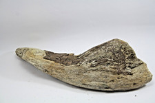 Treibholz Schwemmholz