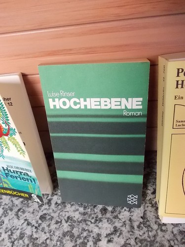 Hochebene ein roman - roman, von