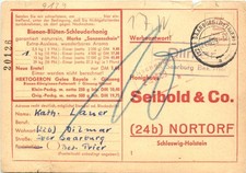 Nortorf - Bienen Blüten Schleuderhonig -732518