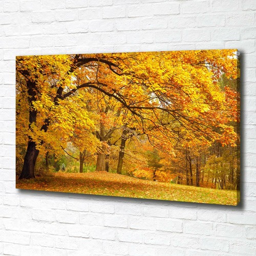 Leinwandbild kunst druck - leinwandbild, kunst-druck
