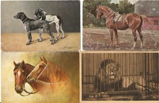 12 alte Postkarten  Tiere Pferd Hund Katze usw. vor  1945  Lot Konvolut Sammlung