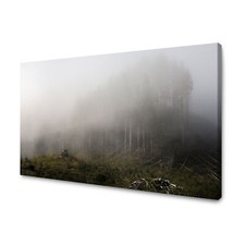 CANVAS Leinwandbilder Wandbilder Kunstdruck Magischer Nebel Größe 40x30-120x80