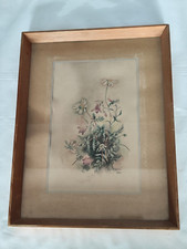 Auflösung: Schönes Aquarell