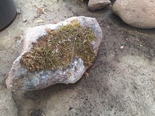 Feldsteine Verschiedene Größen