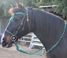 Wunderschöne Showtrense