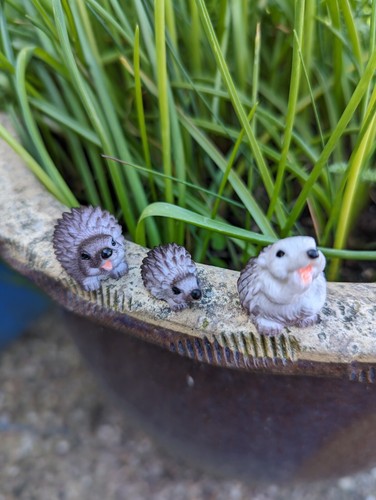 Süß igel mikro landschaft - süß,