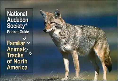 National audubon society - audubon,