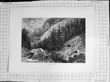 Original alter antiker Druck um 1900 Ansicht bei Hornberg Berge Bäume Tunnel 20.