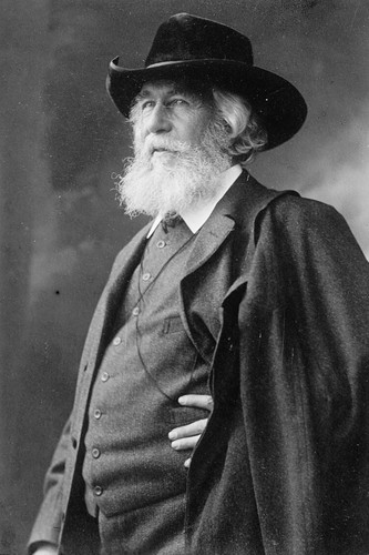 Ernst haeckel von jena - von,