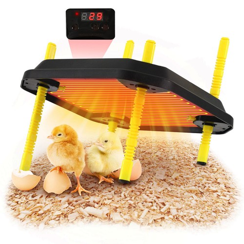 Küken wärmeplatte heizplatte - küken-wärmeplatte,