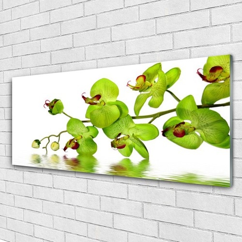 Acrylglasbilder wandbilder - acrylglasbilder,