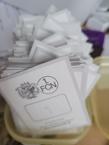 Panini 125 jahre fcn - panini,
