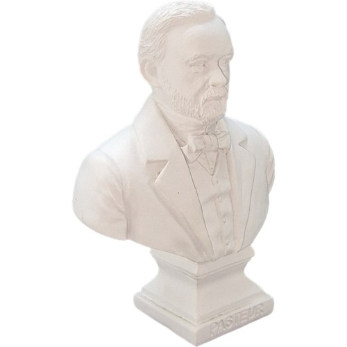 Kleine büste louis pasteur - büste,