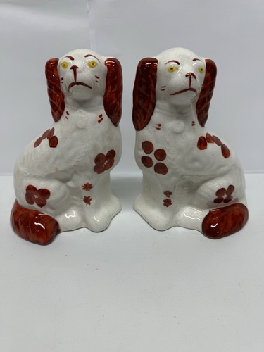 Paar staffordshire wally - paar, hunde