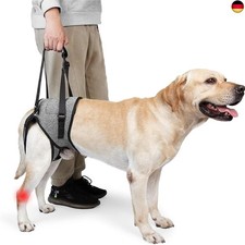Tragegeschirr Hund