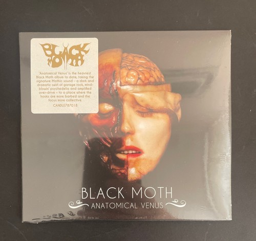 Black moth anatomical - anatomical, venus