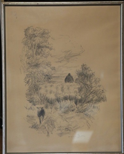 Otto dill - otto,