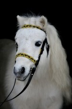 Westerntrense Western Trense Kopfstück Minishetty Mini Shetty Leder Minipony TY