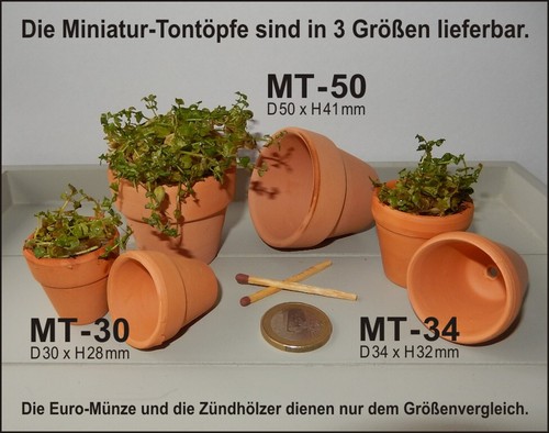 Mini terrakotta tontöpfe - terrakotta,