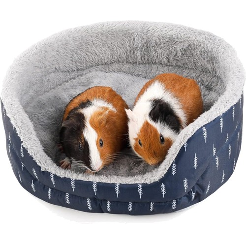 Meerschweinchen bett - meerschweinchen,