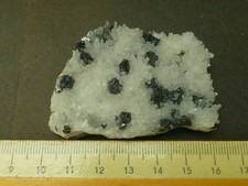 Nr. P3-117 - Rumänien-Cavnic - Quarz + Sphalerit / 02-11